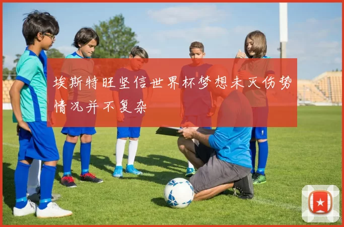 埃斯特旺坚信世界杯梦想未灭伤势情况并不复杂